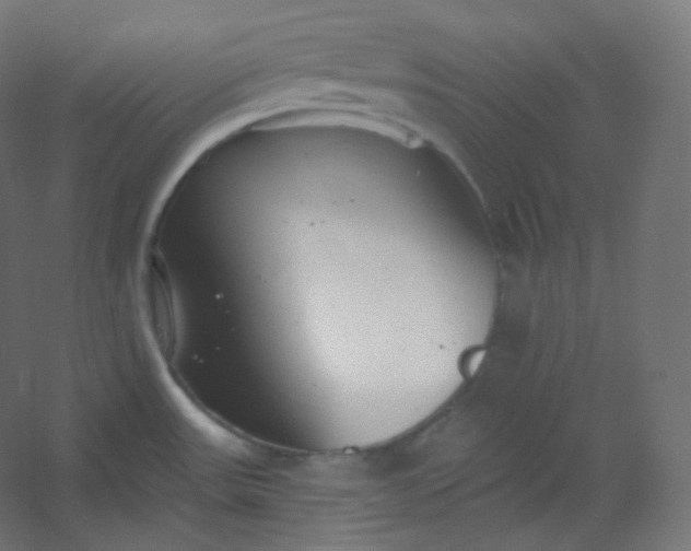 X0000054361531200508121501