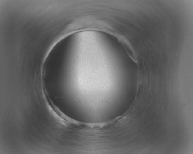 X0000054361532200508121501