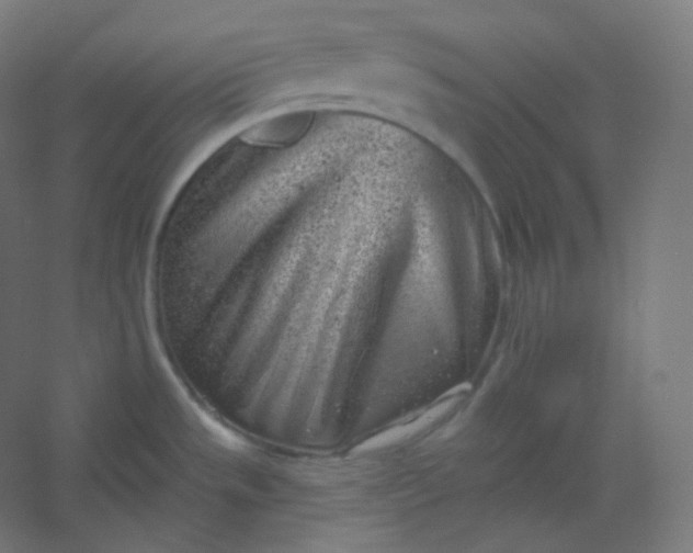 X0000054361533200508121501