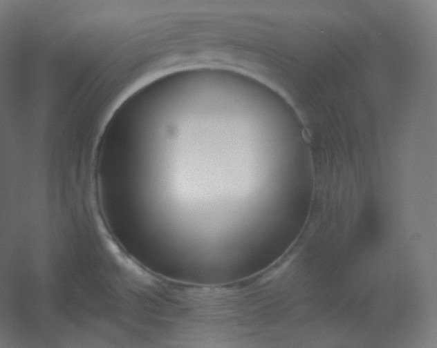 X0000054361534200508121501