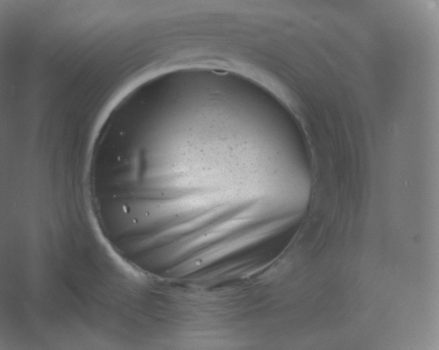 X0000054361536200508121501
