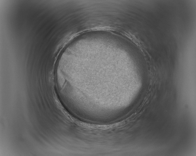 X0000054360002200508191832