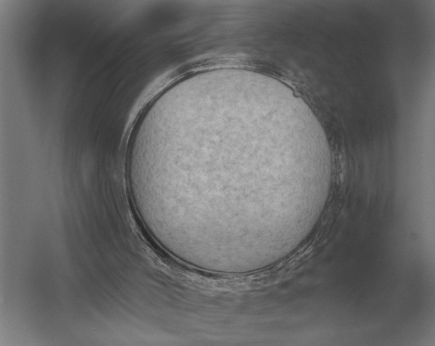 X0000054360004200508191832