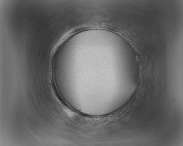 X0000054360005200508191832