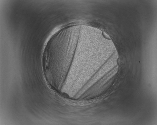 X0000054360006200508191832
