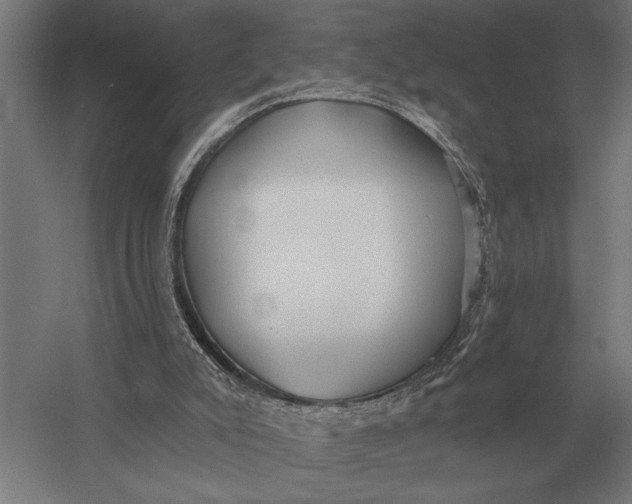 X0000054360007200508191831