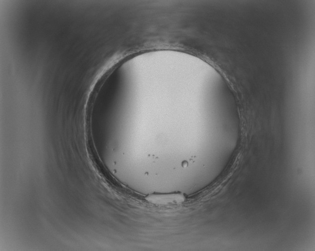 X0000054360008200508191831
