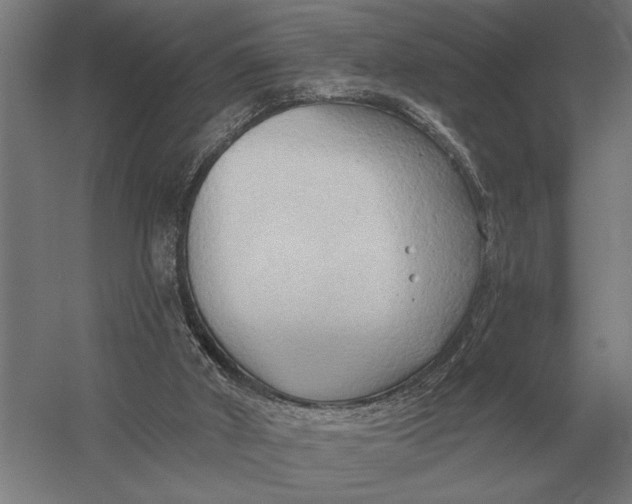 X0000054360010200508191831