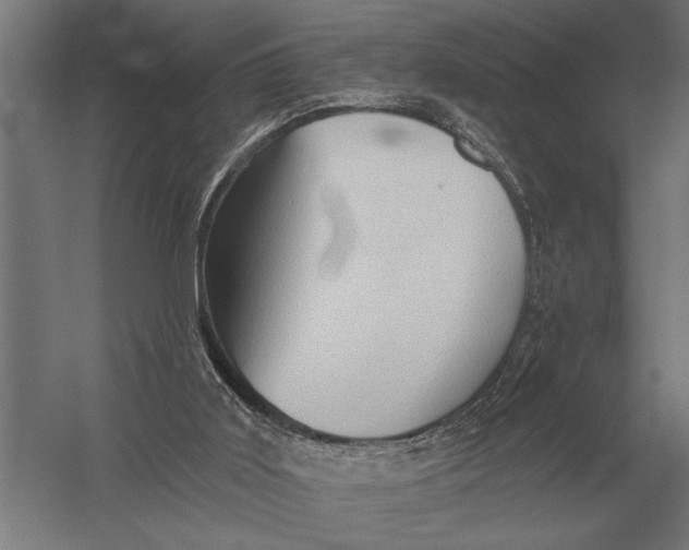 X0000054360011200508191831