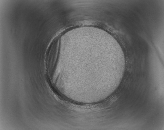 X0000054360012200508191831