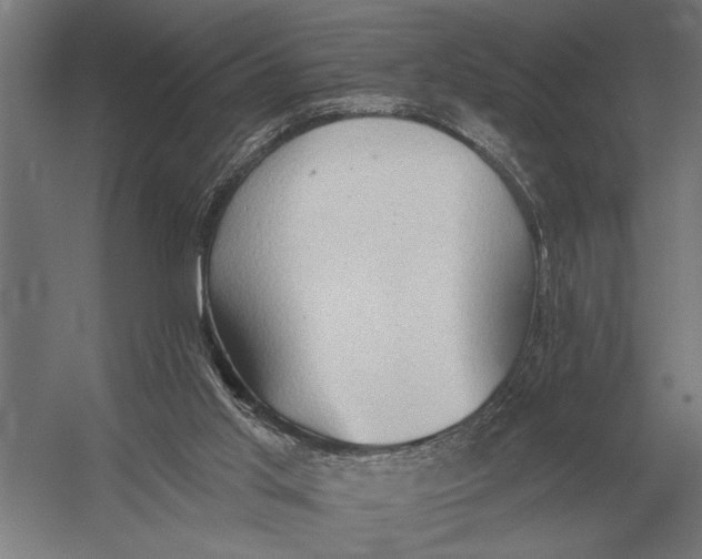 X0000054360013200508191831