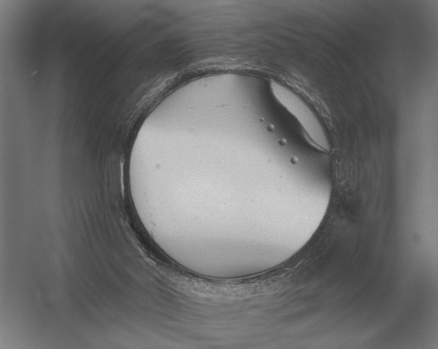 X0000054360014200508191831