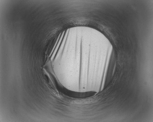 X0000054360017200508191831