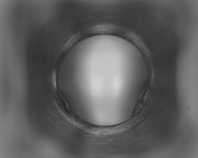 X0000054360021200508191831