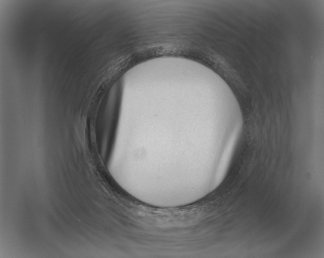 X0000054360022200508191831