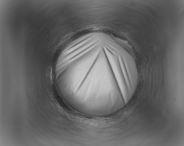 X0000054360024200508191831