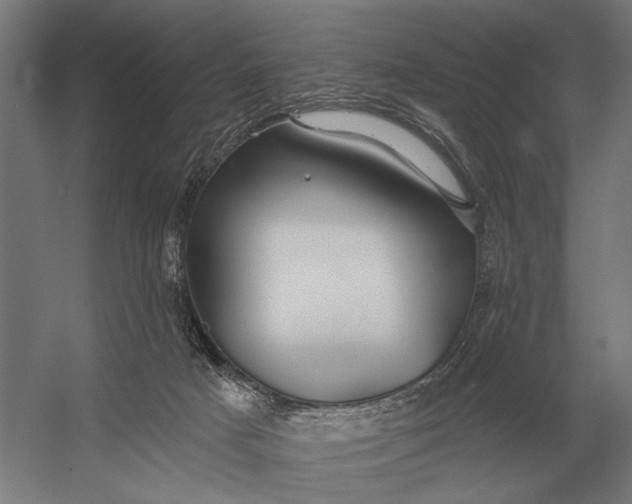 X0000054360025200508191831