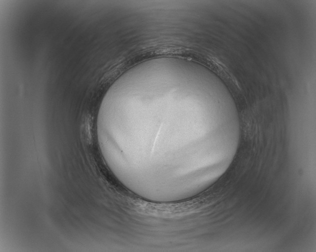 X0000054360026200508191831