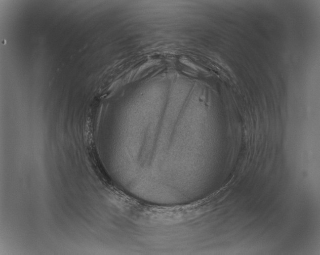 X0000054360029200508191831