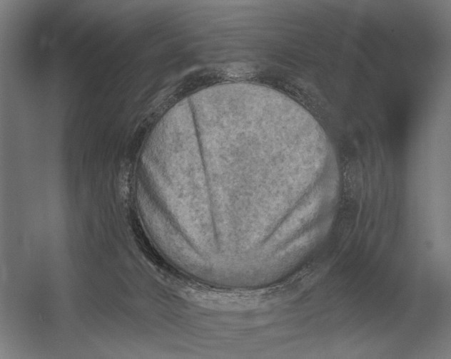X0000054360032200508191831