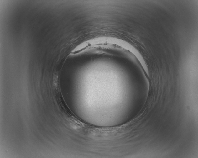 X0000054360033200508191831
