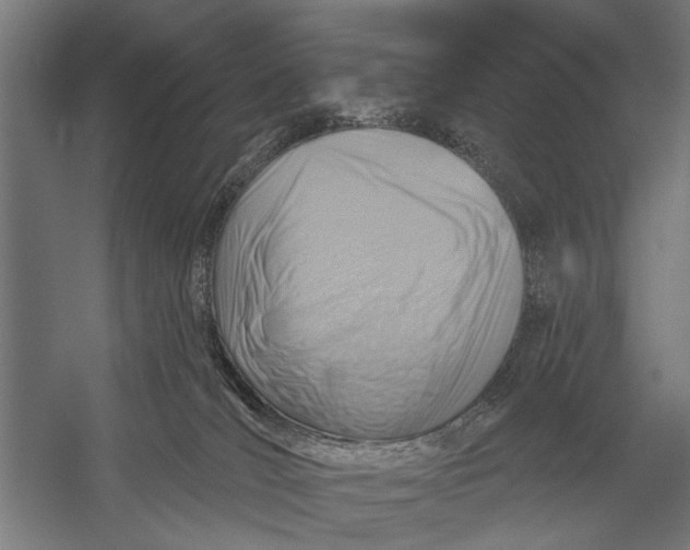 X0000054360036200508191831