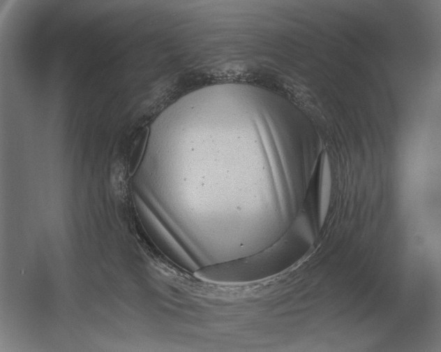 X0000054360037200508191831
