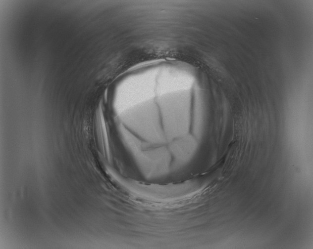 X0000054360039200508191831