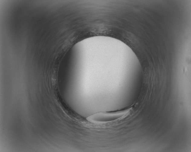 X0000054360040200508191831