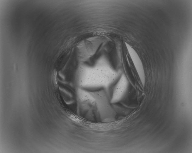 X0000054360041200508191831