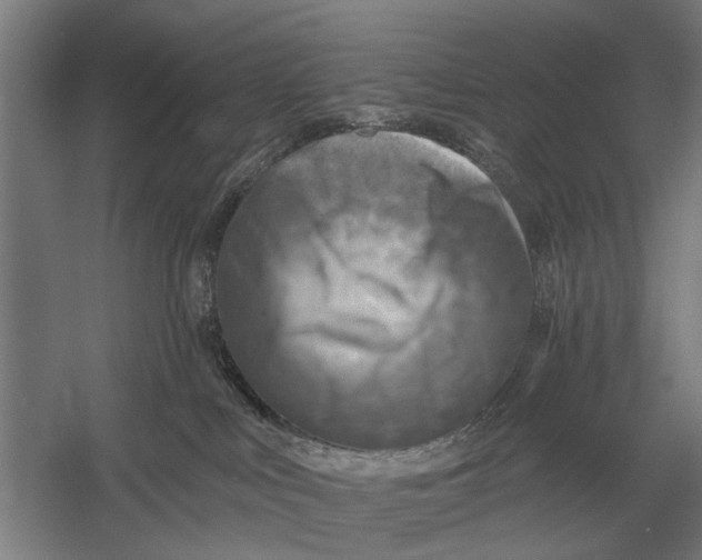 X0000054360043200508191831