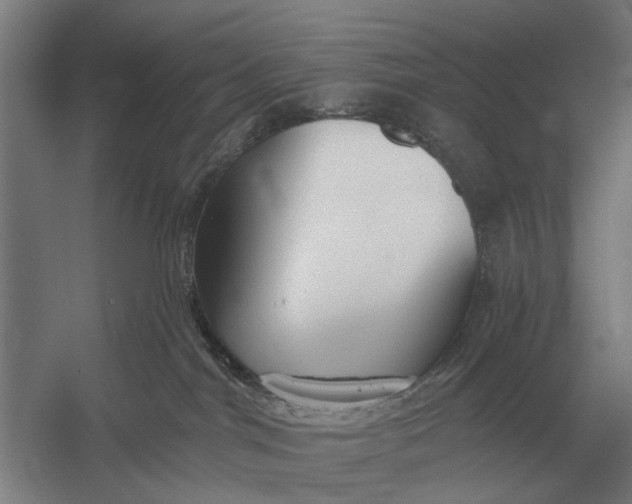 X0000054360044200508191831