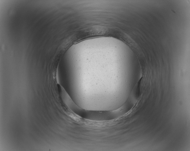 X0000054360045200508191831