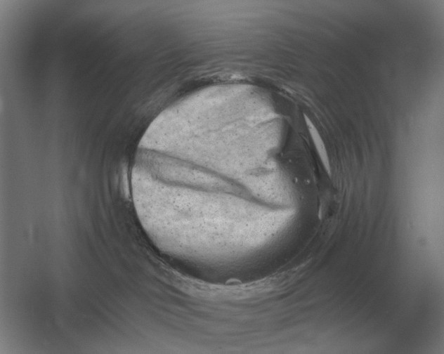 X0000054360046200508191831