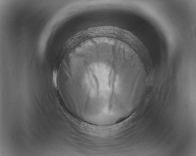 X0000054360047200508191831