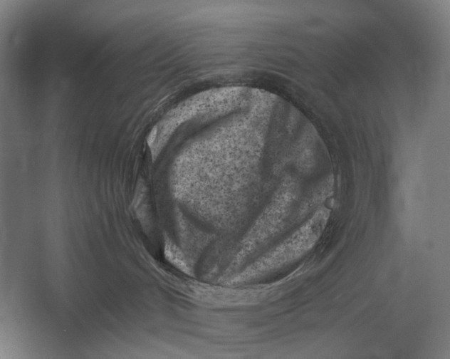 X0000054360048200508191831