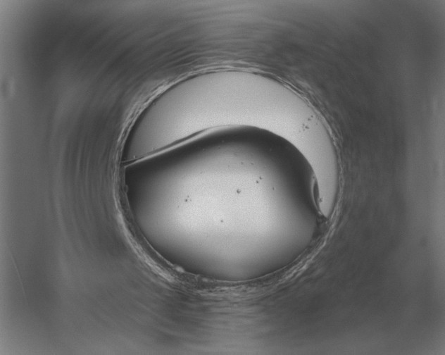 X0000054360049200508191830