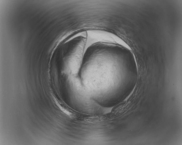 X0000054360050200508191830