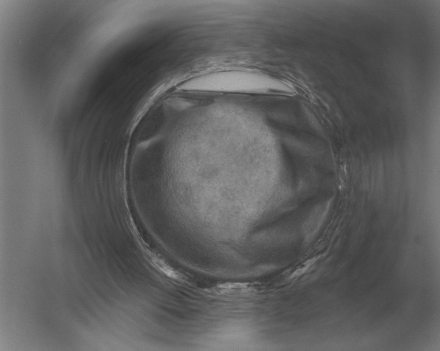 X0000054360052200508191830