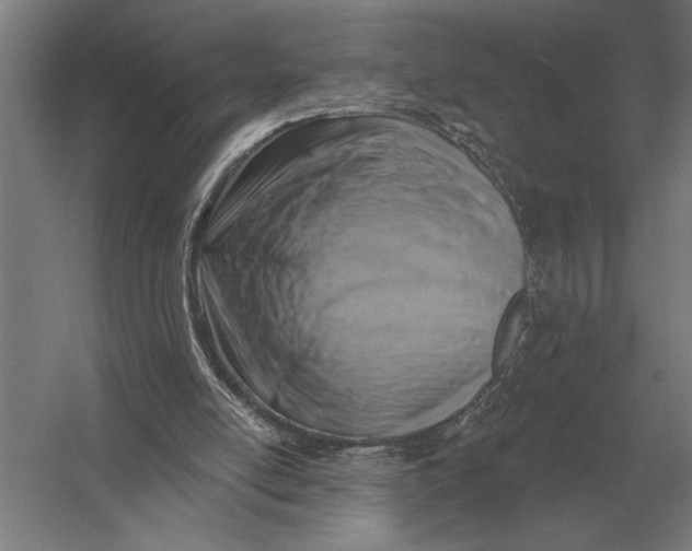 X0000054360054200508191830