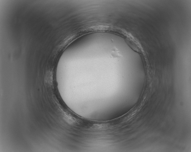 X0000054360057200508191830
