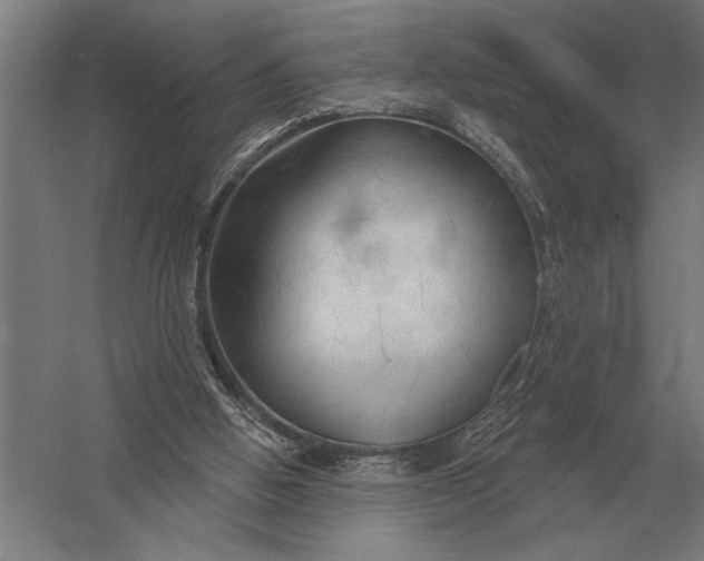 X0000054360058200508191830