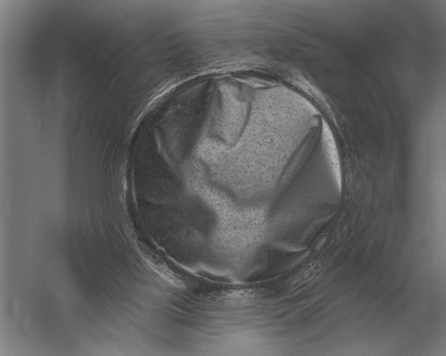 X0000054360059200508191830
