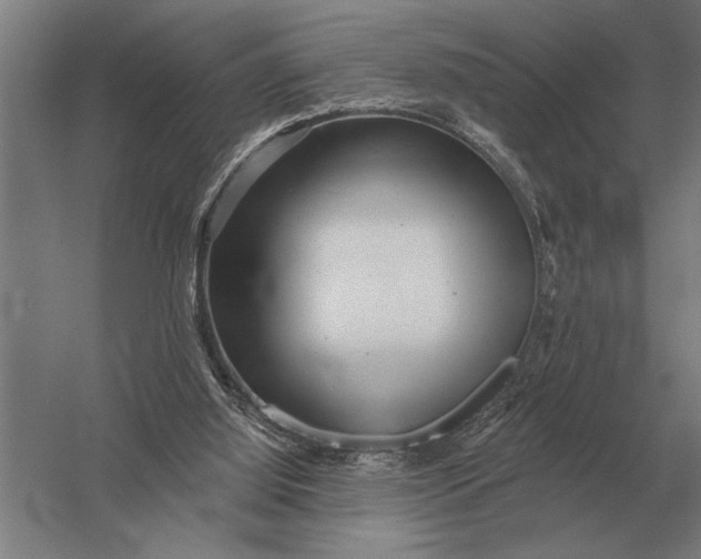 X0000054360060200508191830