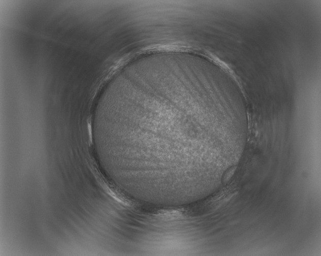 X0000054360061200508191830