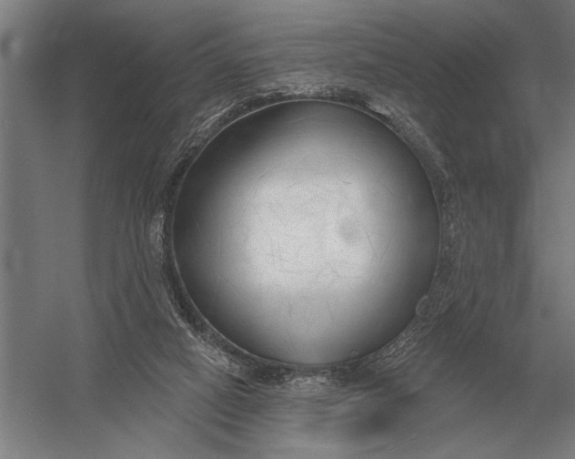 X0000054360066200508191830