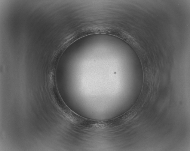 X0000054360071200508191830