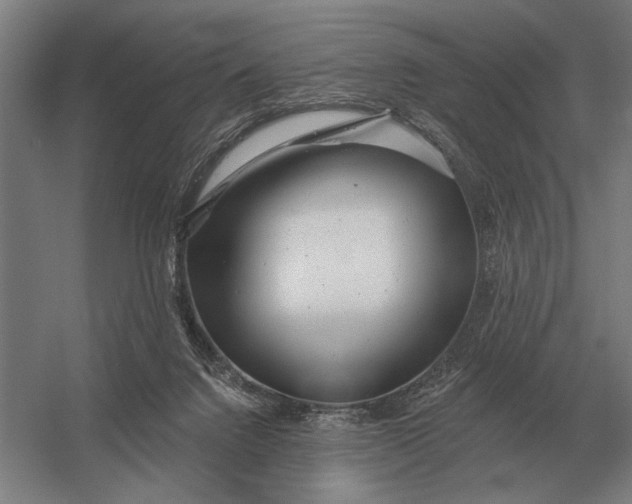 X0000054360072200508191830