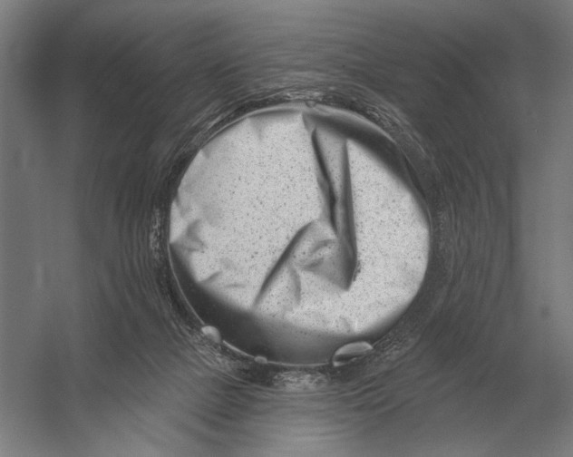 X0000054360073200508191830