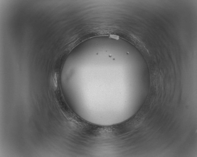 X0000054360075200508191830
